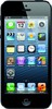 Apple iPhone 5 32GB - Заречный