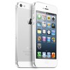 Apple iPhone 5 64Gb white - Заречный